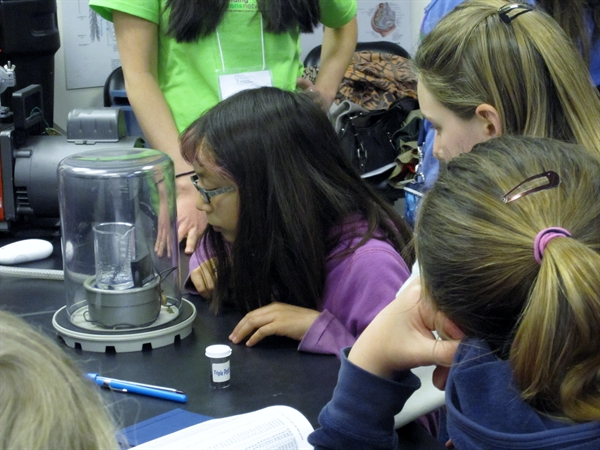 Expanding Your Horizons Science Program for Middle School Girls ...