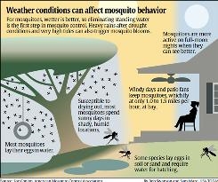 Weather: Heat goes on; weather affects mosquitoes - USATODAY.