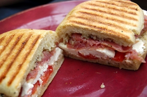 National Panini Month - Traveling around Europe for about 5 months!!!! Help me please!!!!?