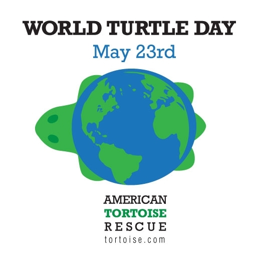 when is national turtle day?