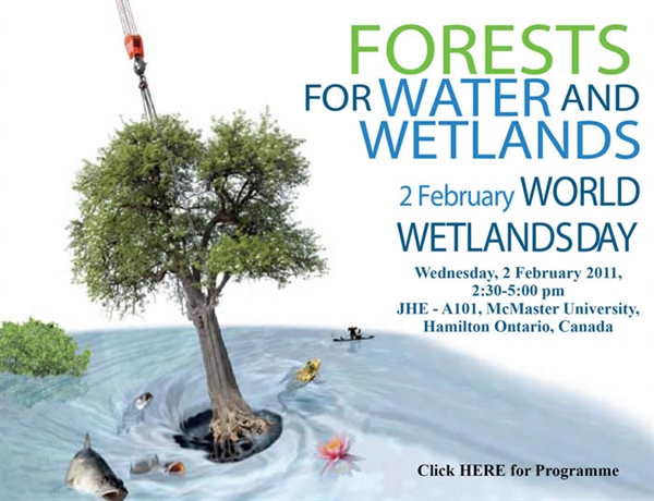 World Wetland day is on?